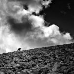 Pilgrim climbs the Croagh Patrick mountain