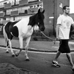 Young man leads a horse at the Dublin city centre