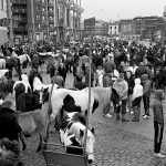 Crowd at Smithfield horse fair, Dublin